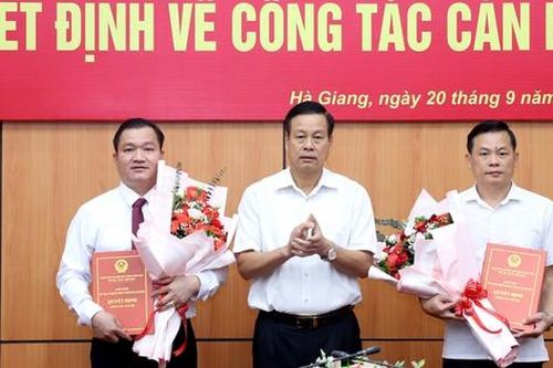 Bổ nhiệm Giám đốc Sở TNMT, Giám đốc chi nhánh NHNN, Chánh Văn phòng UBND tỉnh,...