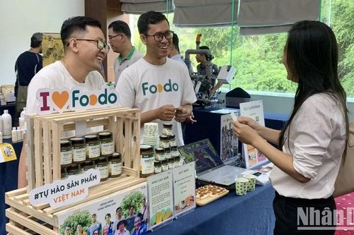 Tạo điều kiện phát triển hệ sinh thái khởi nghiệp đổi mới sáng tạo