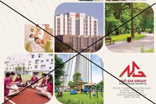 Công ty vẽ dự án 'ma' ở Phú Yên có chủ tịch sinh năm 1995
