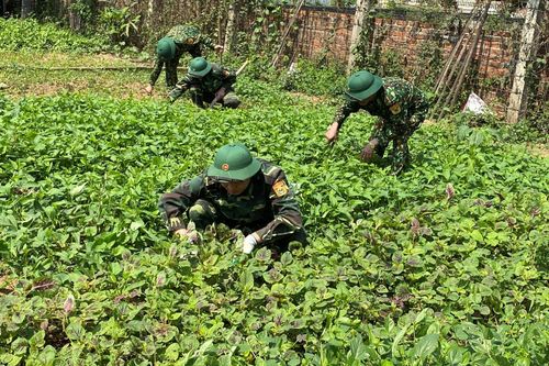 Đẩy mạnh tăng gia sản xuất để nâng cao đời sống cho cán bộ, chiến sĩ