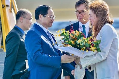 Truyền tải thông điệp mạnh mẽ về một Việt Nam yêu chuộng hòa bình, thành viên có trách nhiệm của LHQ