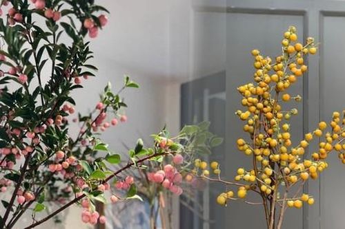 Mùa thu cực chill ngay tại nhà với các loại cành quả mới lạ