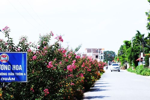 Chuyển đổi số trong xây dựng nông thôn mới thông minh