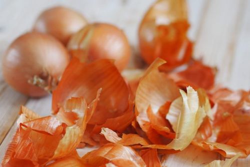 Vì sao chúng ta không nên vứt ngay vỏ hành vào thùng rác?