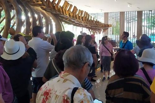 Siêu du thuyền đưa 4.000 du khách quốc tế tới Nha Trang
