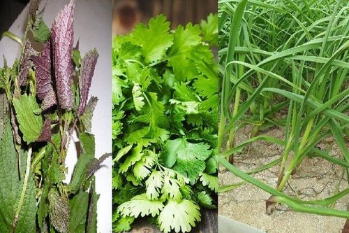 Loại rau 'nhỏ nhưng có võ' làm thuốc chữa bệnh, thường có trong mâm cơm của người Việt