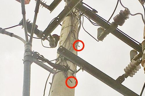 Đà Nẵng: Hàng nghìn mét dây cáp điện bị cắt trộm