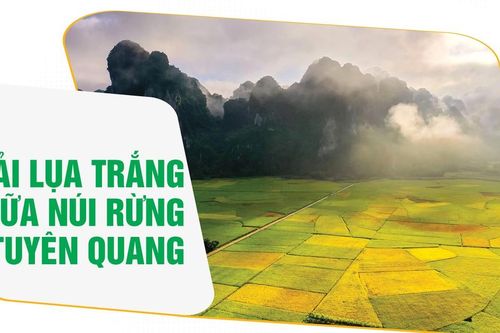 Dải lụa trắng giữa núi rừng Tuyên Quang