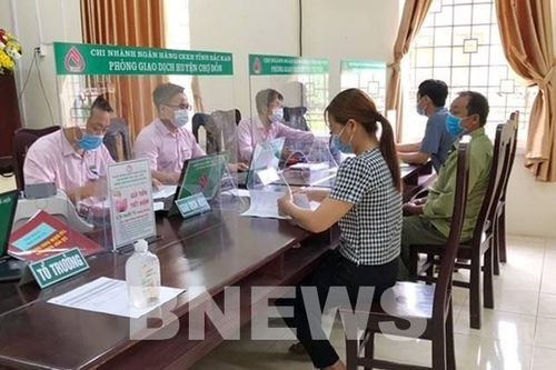 Hàng nghìn học sinh, sinh viên thụ hưởng vốn tín dụng ưu đãi