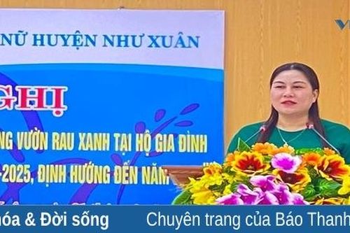 Triển khai kế hoạch thực hiện đề án xây dựng vườn rau xanh tại hộ gia đình trên địa bàn huyện Như Xuân