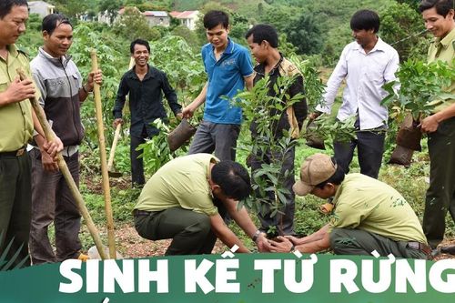 E-magazine Sinh kế từ rừng