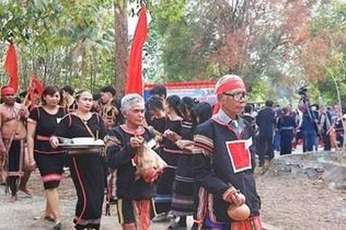 Diệu kỳ xứ voi