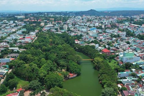 Để Pleiku thêm xanh