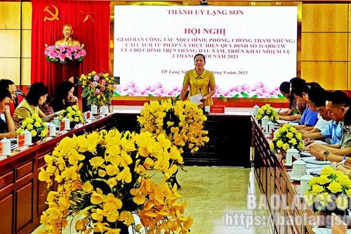 Thành ủy giao ban công tác nội chính, phòng chống tham nhũng, cải cách tư pháp 9 tháng năm 2023