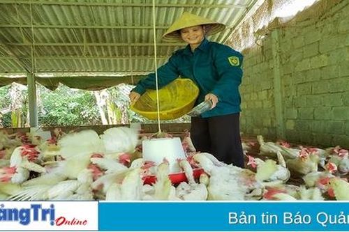 'Bông sen hồng' trên đất Vĩnh Linh