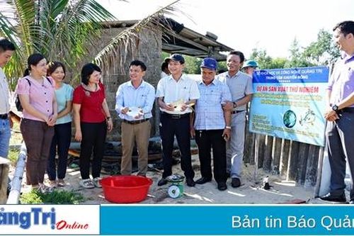 Thử nghiệm nuôi thâm canh cá chim vây vàng theo hướng VietGAP đạt kết quả cao