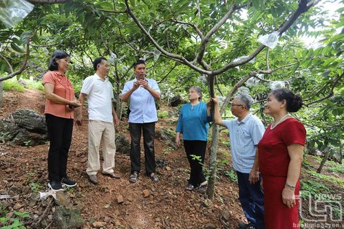 Đánh thức tiềm năng du lịch nông nghiệp vùng cao