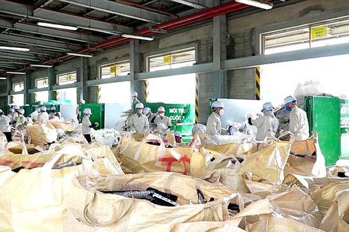 Triển khai các quy định của pháp luật về bảo vệ môi trường