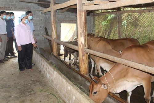 Chú trọng công tác dân vận: Giải pháp hữu hiệu trong triển khai dự án đầu tư