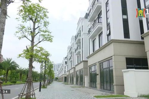 Nhu cầu tìm kiếm bất động sản tăng dần