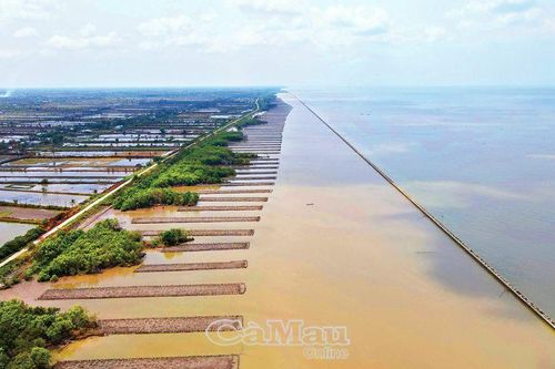 Giữ đất, giữ rừng - Hành trình chưa hồi kết