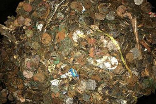 Dọn giếng khô bỏ không, bất ngờ tìm được 'kho báu'