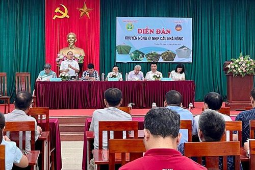 Chính sách cần phù hợp với thực tiễn