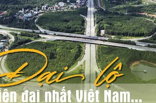Ngắm đại lộ hiện đại nhất Việt Nam từ trên cao như một khu 'rừng tái sinh'
