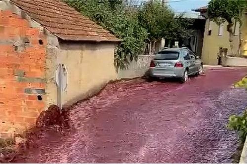 Bão… rượu vang