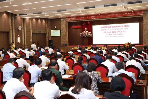 Hà Nội chuyển đổi 4,74 ha rừng làm vành đai an toàn phòng cháy tại Sóc Sơn