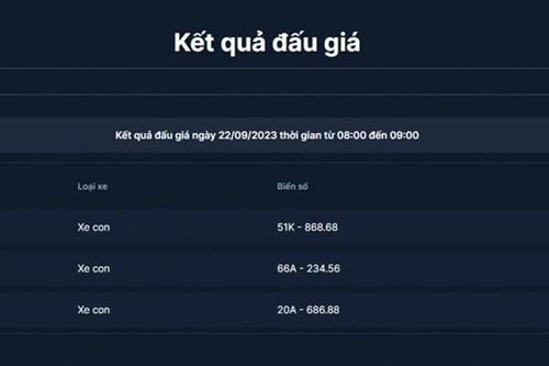 Biển số 51K-868.68 trúng đấu giá với số tiền hơn 4,8 tỷ đồng