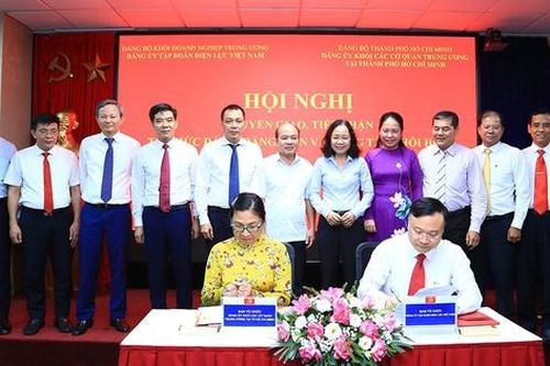 Chuyển giao 3 tổ chức đảng về thuộc Đảng bộ EVN