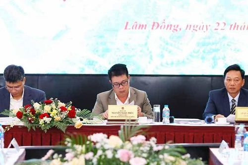 Đề xuất nhiều giải pháp phòng, chống sạt trượt và ngập lụt cục bộ tại Lâm Đồng
