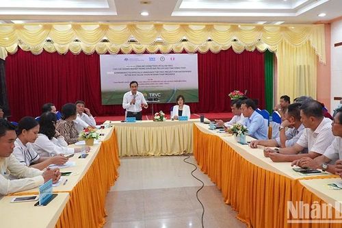 Công bố dự án về chuyển đổi chuỗi giá trị lúa gạo
