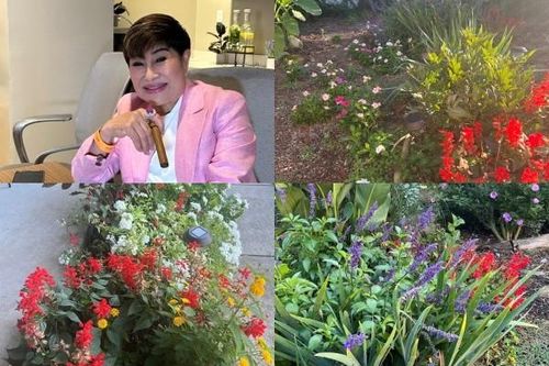 Mãn nhãn khu vườn muôn sắc hoa của vợ cũ Đàm Vĩnh Hưng