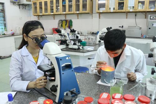 'Tự quyết' kiểm định chương trình đào tạo: 'Vừa đá bóng, vừa thổi còi'?
