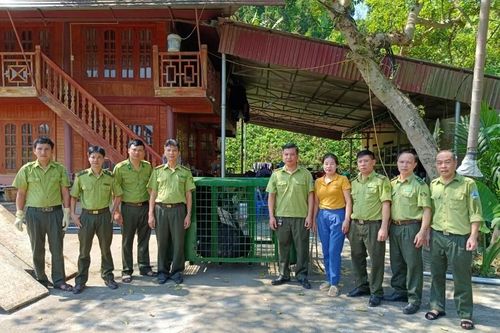 Lào Cai: Người dân hiến tặng Vườn quốc gia Hoàng Liên con gấu ngựa nặng 170 kg