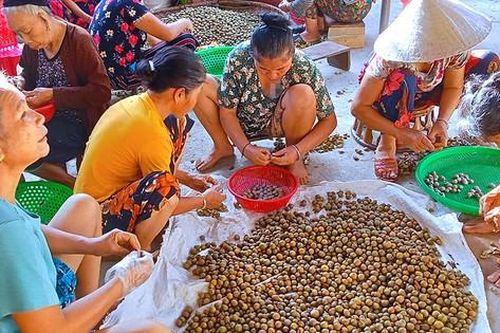 'Lộc trời' trong rừng giúp người dân huyện miền núi thoát nghèo