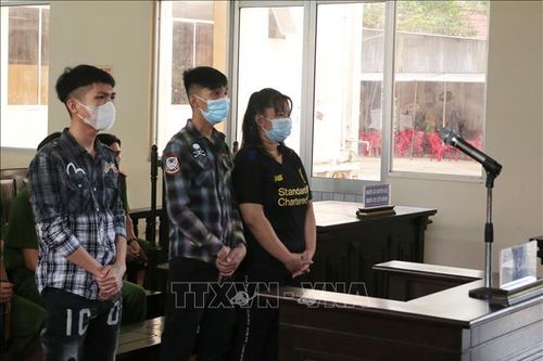 Lĩnh án tù vì dụ dỗ người khác đi tìm 'việc nhẹ lương cao'