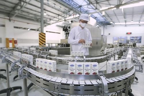 Nhà sản xuất sữa có cơ hội phục hồi biên lợi nhuận gộp