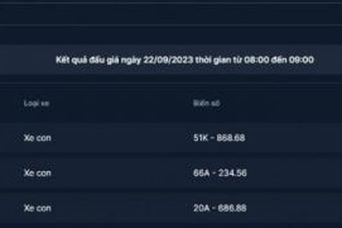 Biển số 51K-868.68 của TP.Hồ Chí Minh được trả giá gần 5 tỉ đồng