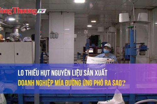 Lo ngại thiếu hụt nguyên liệu sản xuất, doanh nghiệp mía đường ứng phó ra sao?