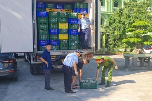 Phát hiện gần 8.000 bánh Trung thu không rõ nguồn gốc xuất xứ; bắt đối tượng sản xuất hơn 23 kg pháo nổ trái phép