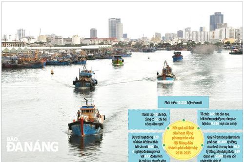 Hội Nông dân thành phố phát huy truyền thống đoàn kết, năng động, sáng tạo