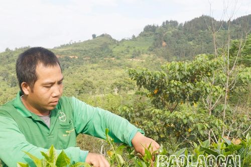 Hiến đất vì lợi ích của cộng đồng