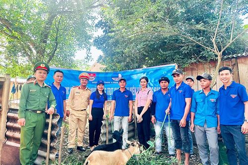 Niềm vui từ những dấu chân tình nguyện