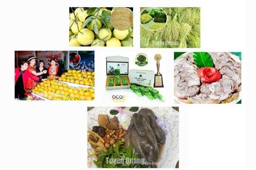 Khẳng định thương hiệu Nông sản Tuyên Quang