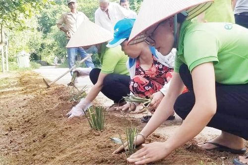 Tăng ý thức, sạch môi trường