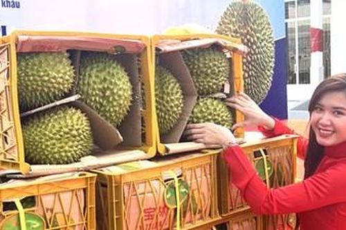 Từ cơn sốt sầu riêng ở Trung Quốc