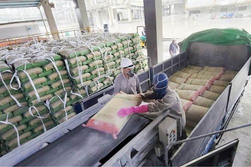 Công ty CP Xi măng Đồng Lâm với chiến dịch bảo vệ môi trường